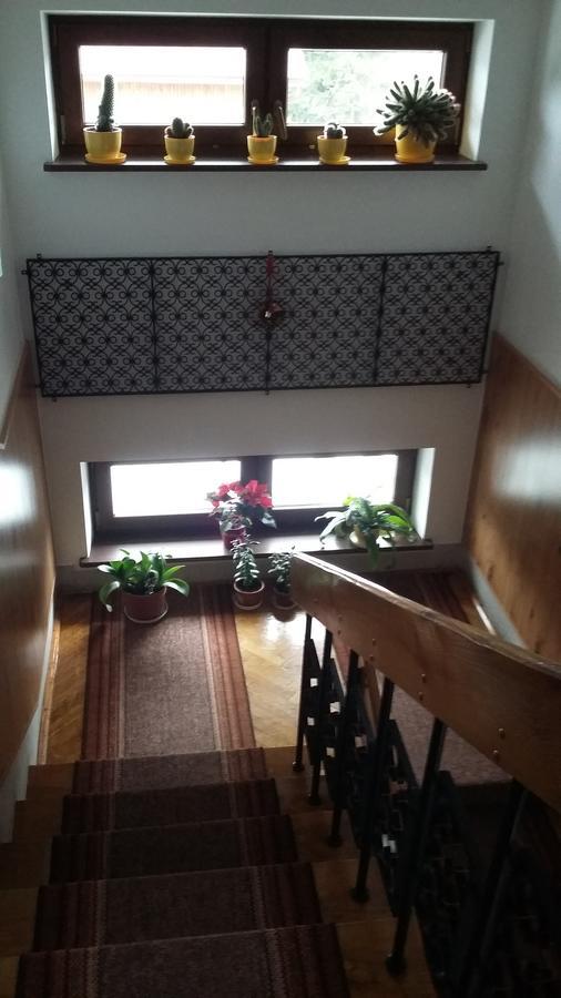 Arnika Wynajem Pokoi Apartment Zakopane Exterior foto